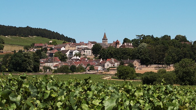 Pourquoi choisir une carte des vignobles de France 